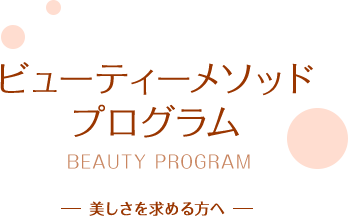 美プログラム／美しさを求める方へ